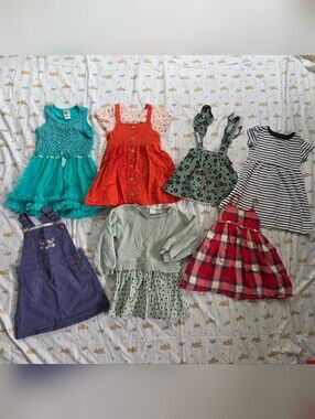 Toddler Girl Dress/Skirt Bundle